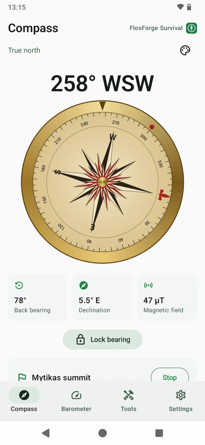 The vintage compass face, a brass dial with a compass rose