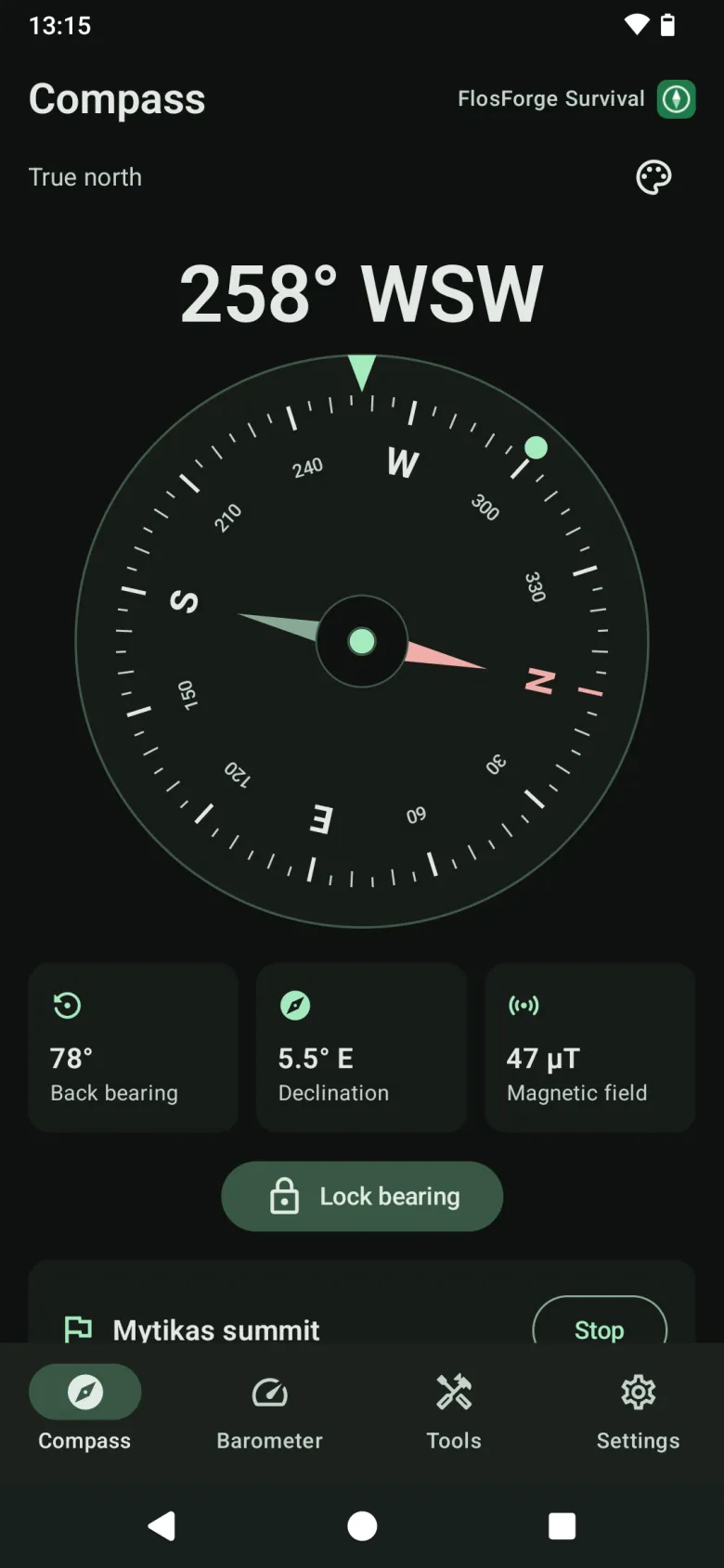 The Compass tab: a classic dial reading in true north, with back bearing, declination and magnetic field below, and a waypoint being navigated to