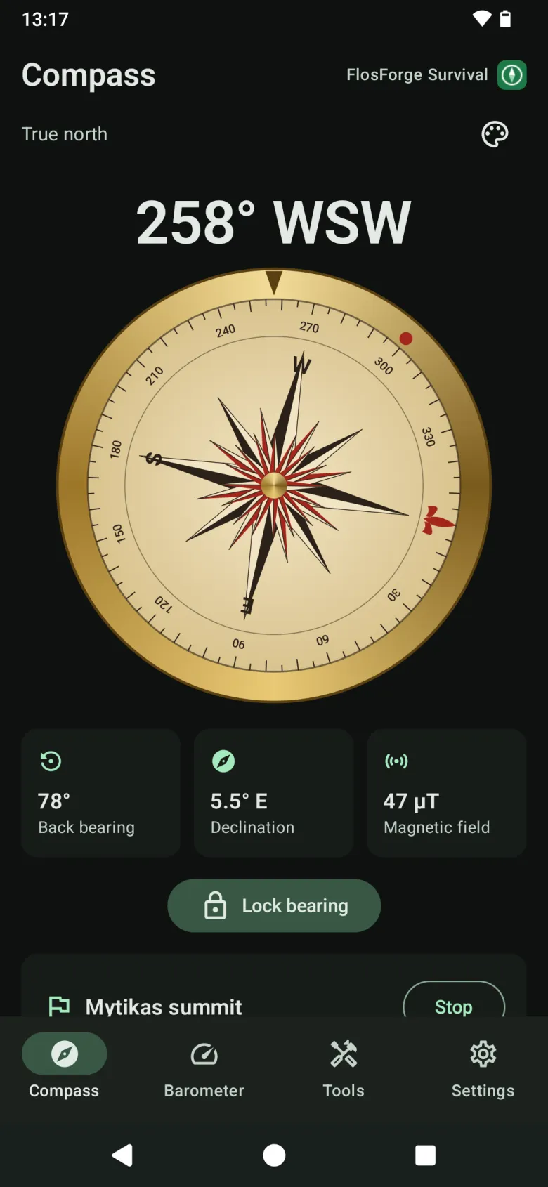 The vintage compass face, a brass dial with a compass rose